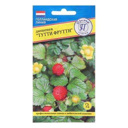 Seeds of Dyushinea Indian "Tutti-Frutti", 0.1 g