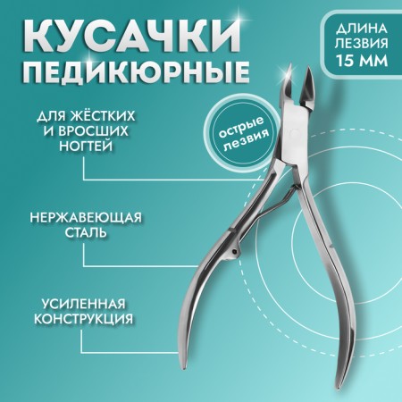 Pigitan nippers, straight blade, 13.5 cm, blade length - 15 mm, silver color