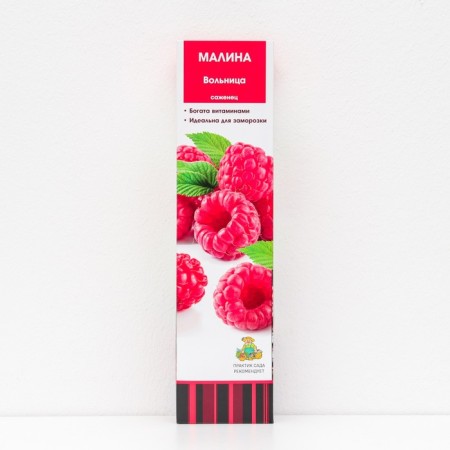 Raspberry traditional varieties "Volnitsa", 1 pc, tube, spring 2025