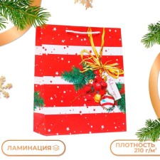 Gift package 