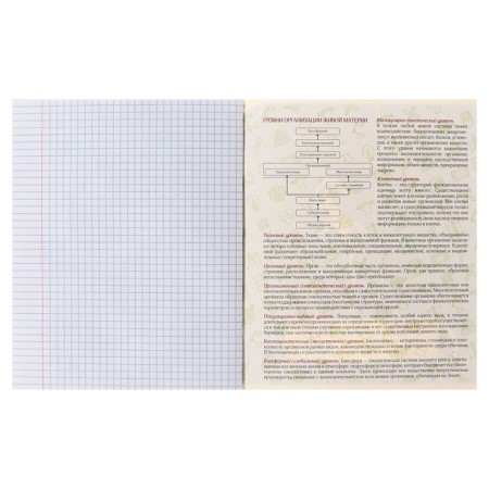 Subject Calligrata Top "Dark Marble", 48 sheets in a biology cage, with reference material, covering a shared cardboard, coating Soft-Touch with gold foil, offset block-6