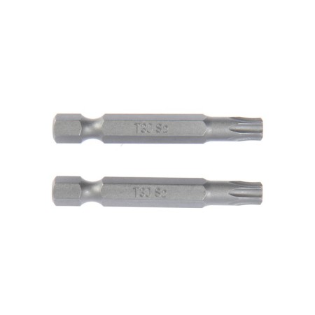 Tundra bats, magnetized, steel S2, T30 x 50 mm, 2 pcs.-1
