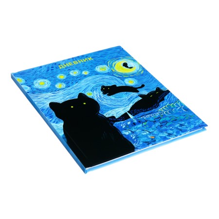 Diary for grades 5-11, 48 sheets "Inspiration!", Firm cover, glossy lamination, block 60 g/m2-1
