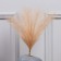 LED beige branch, 56 cm, 15 LED, AAX2 batteries (not in the kit), warm white glow