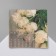 Brooch "March 8", Rose is tender, white color in silver