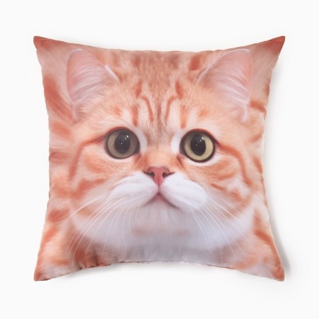 Decorative pillow "Usatik"-2