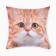 Decorative pillow "Usatik"