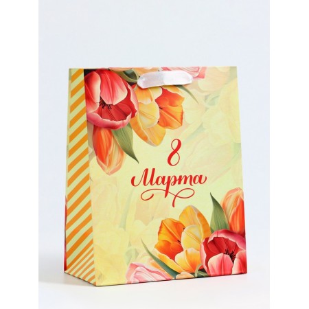 Package Gift Vertical "Bright Moment", MS 18 x 23 x10 cm-1