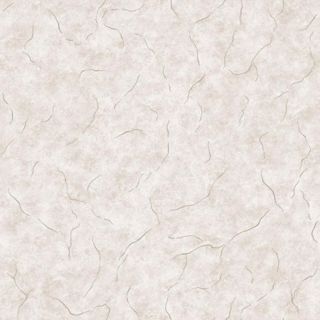 Paper wallpaper "Vlad von-l" C14F-761F-02, 0.53x10.05m-4