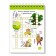 Elementary School. Russian language. Adjectives without errors. Ovchinnikova N.N.