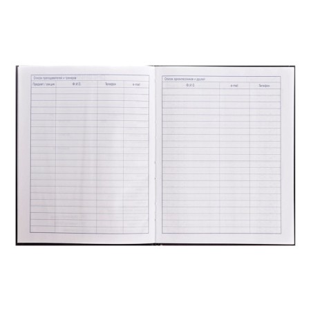 Universal diary for grade 1-11 Sports Sports, solid cover, matte lamination, 3D foil, 40 sheets-3