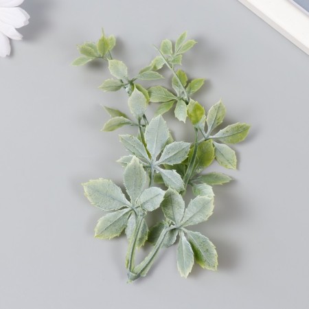 Artificial plant for creating a florarium "Ostrosoli Troika" 17.5 cm-2
