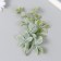 Artificial plant for creating a florarium "Ostrosoli Troika" 17.5 cm