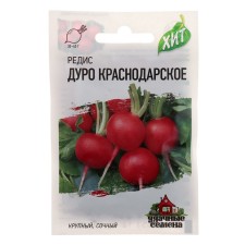 Seeds Radis 