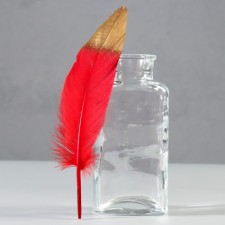 A set of feathers of the goose 15-20 cm, 10 pcs, red-gold