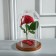 Glass dome -slosh on a wooden stand "Vincent - 1", 25x15 cm, brown