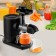 Skin juicer Kitfort KT-1139, 150 W, 0.5 l, cord 1 m