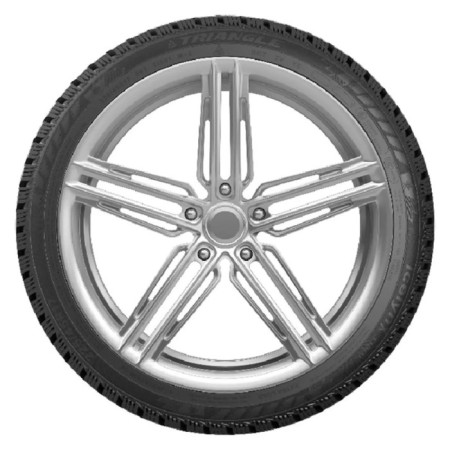 Winter -haired tire Triangle Ti501 215/55 R17 98T-3