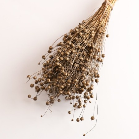 Set of dried flowers "Lenon-debunge", banch length 55-60 (+/- 6 cm), bronze-2