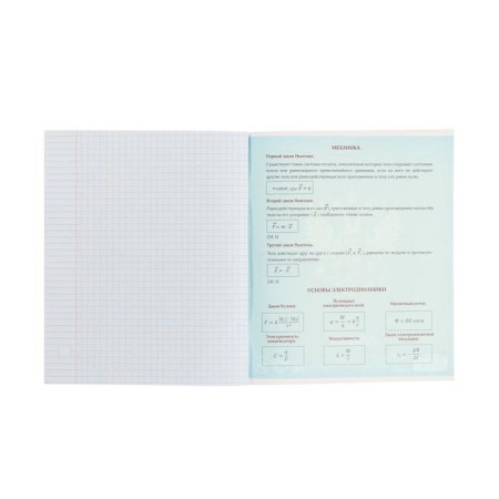 Substantial notebook calligrata "coat of arms", 48 sheets in a cell of physics, with reference material, cover coated cardboard, UV-lak, OFSET block-3