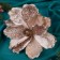 Decor "Winter Flower" Assorted leaves, 18x20 cm, pink-beige