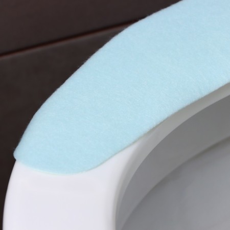 The sticker for the toilet is plain, 2 pcs (blue)-2