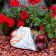 Garden Figure "Dwarf Sonya" Red, 38x28x21cm