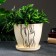 Flower pot "sophistication" beige, 2.4 liters