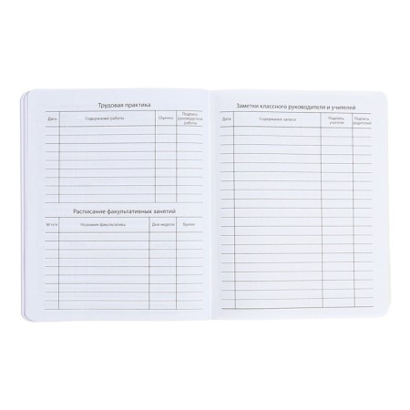 Universal Diary Grade 1-11, 48 sheets "Fashion Bear", Color Print, Block 65 g/m2-6