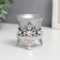 Climber Plastic, glass "Lotus flower" silver 6.5x6x6 cm