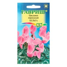 Flower seeds Cyclamen 