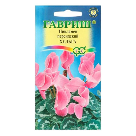 Flower seeds Cyclamen "Helga", Persian, 3 pcs.