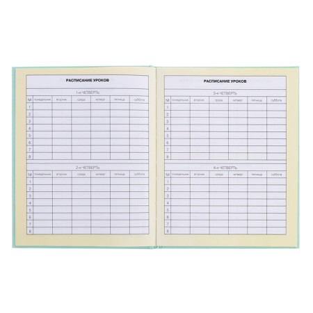 Diary for grades 1-4, solid cover "Girls", matte lamination, selective varnish, block 60 g/m2-7