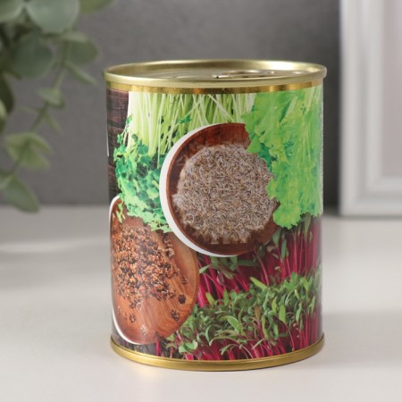 Growing gift of grass "Raising beets and cross-sanalates at home-3