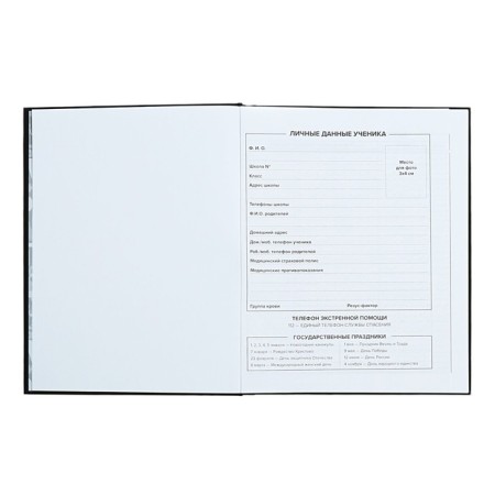 School diary for grades 1-11, 48 sheets "Main", solid cover, "software", universal cheat sheet, block 65g/m2-4