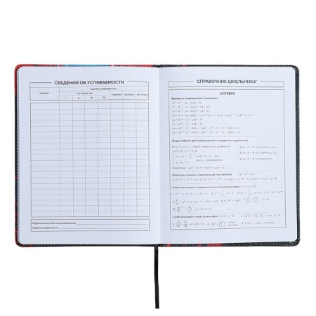 Universal Diary Grade 1-11, 48 sheets "Supercar", solid cover of artificial leather, lies, universal cheat sheet, block 80 g/m2-7