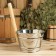 Dousing bucket, metal, with a wooden handle, 3 liters