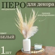Feather for decor, size: 20-24 cm, white color