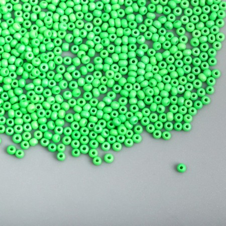 Glass bead 12/0 "grassy" smooth No. 677 450 gr-1