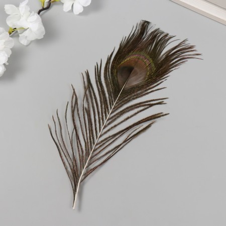 Decorative feather "Peacock" h = 25-30 cm-1