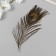 Decorative feather "Peacock" h = 25-30 cm