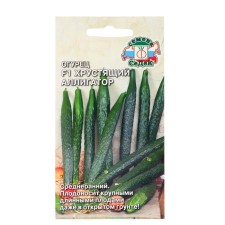 Cucumber 
