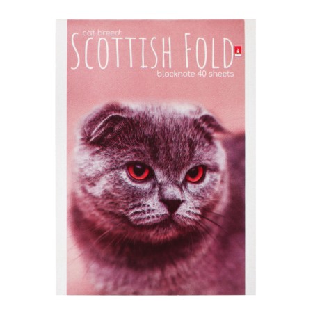 Notepad A6, 40 sheets on the clip "kittens", mix-5