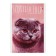 Notepad A6, 40 sheets on the clip "kittens", mix