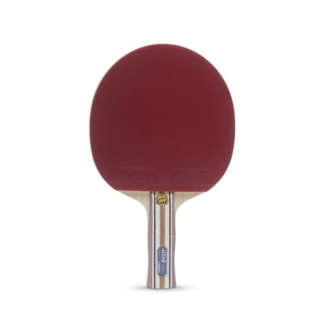 ATEMI PRO 3000 ANA table tennis racket