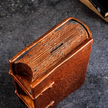 Piggy bank "Book" Capital "copper, 27x19cm-3