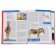 Red Book of Earth (new design). Skaldina O.V., Succan E.A.
