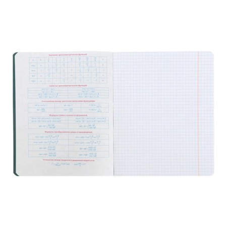 Subject notebook monocolor.element, 48 sheets in the algebra cage, covered cardboard, lamination of software touch, selective varnish, offset block 70 g/m2-2