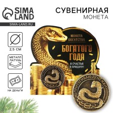 Coin New Year's amulet 