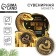 Coin New Year's amulet "New Year: rich year", diam 2.5 cm